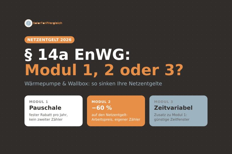 § 14a EnWG: Modul 1, 2 oder 3 – Netzentgelt sparen mit Wärmepumpe und Wallbox