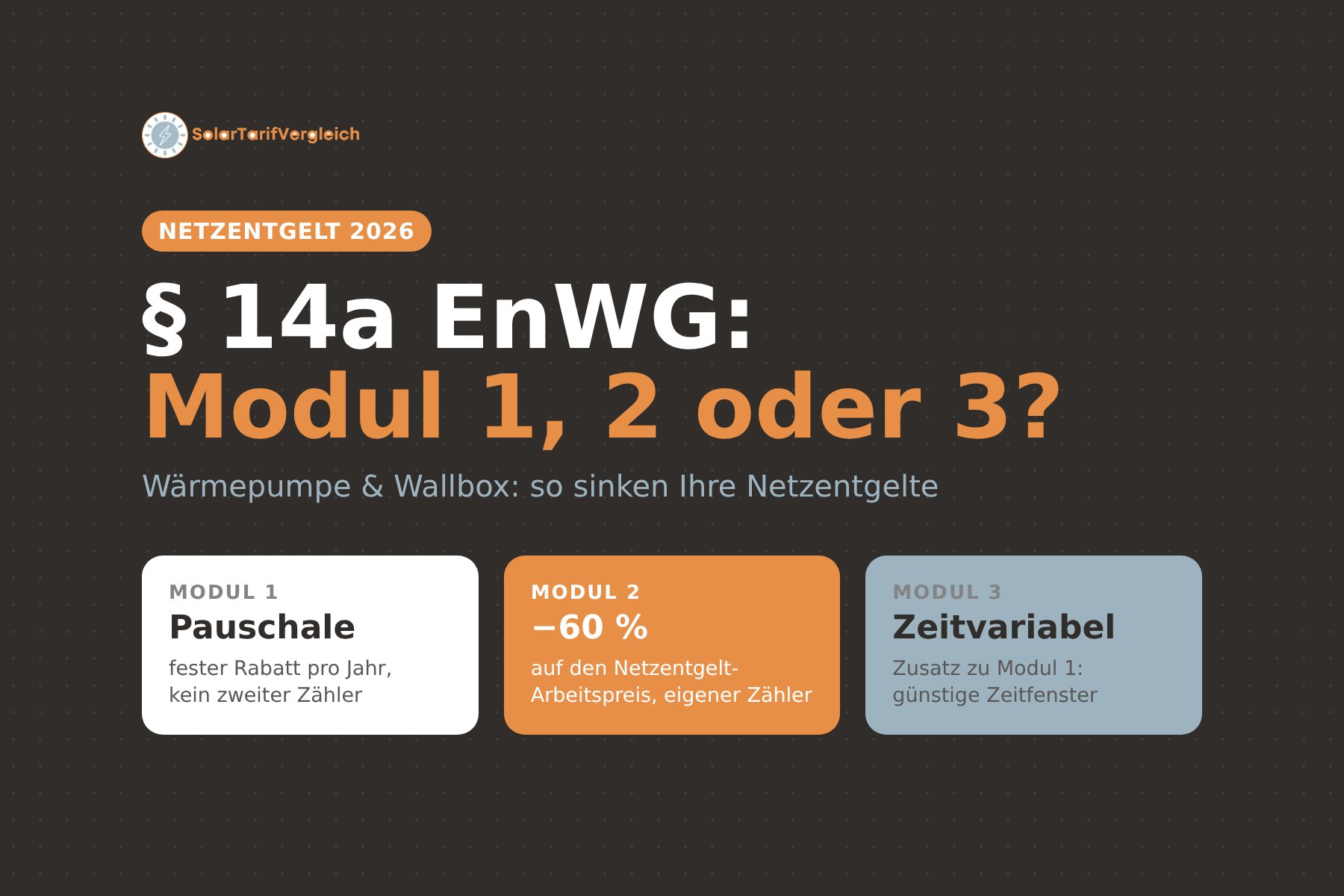 § 14a EnWG: Modul 1, 2 oder 3 – Netzentgelt sparen mit Wärmepumpe und Wallbox